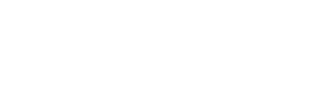fernandes-neuropsychologie
